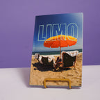 "Summer Flings & Things" - Volume 01 | Issue 03